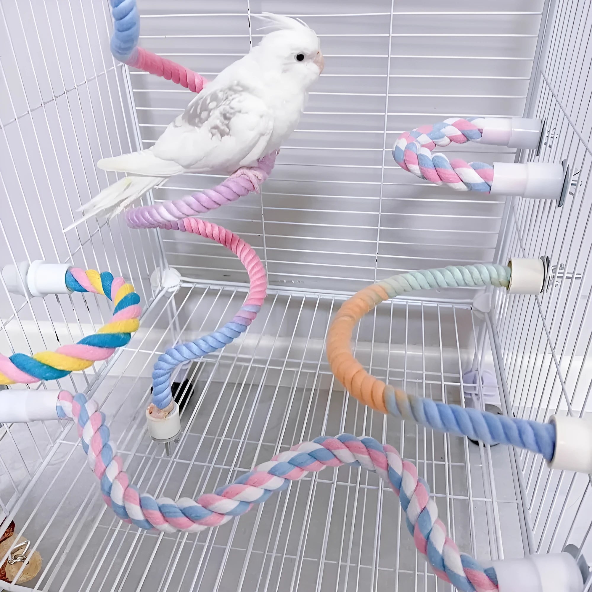 Gradient colourful bird rope perch stand with bendable shapes for small pet cage climbing and play