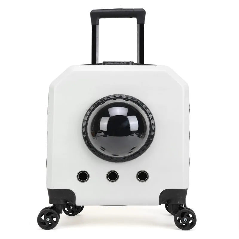 Hard shell PVC pet trolley case in orange, pink, white, or burgundy for travel.