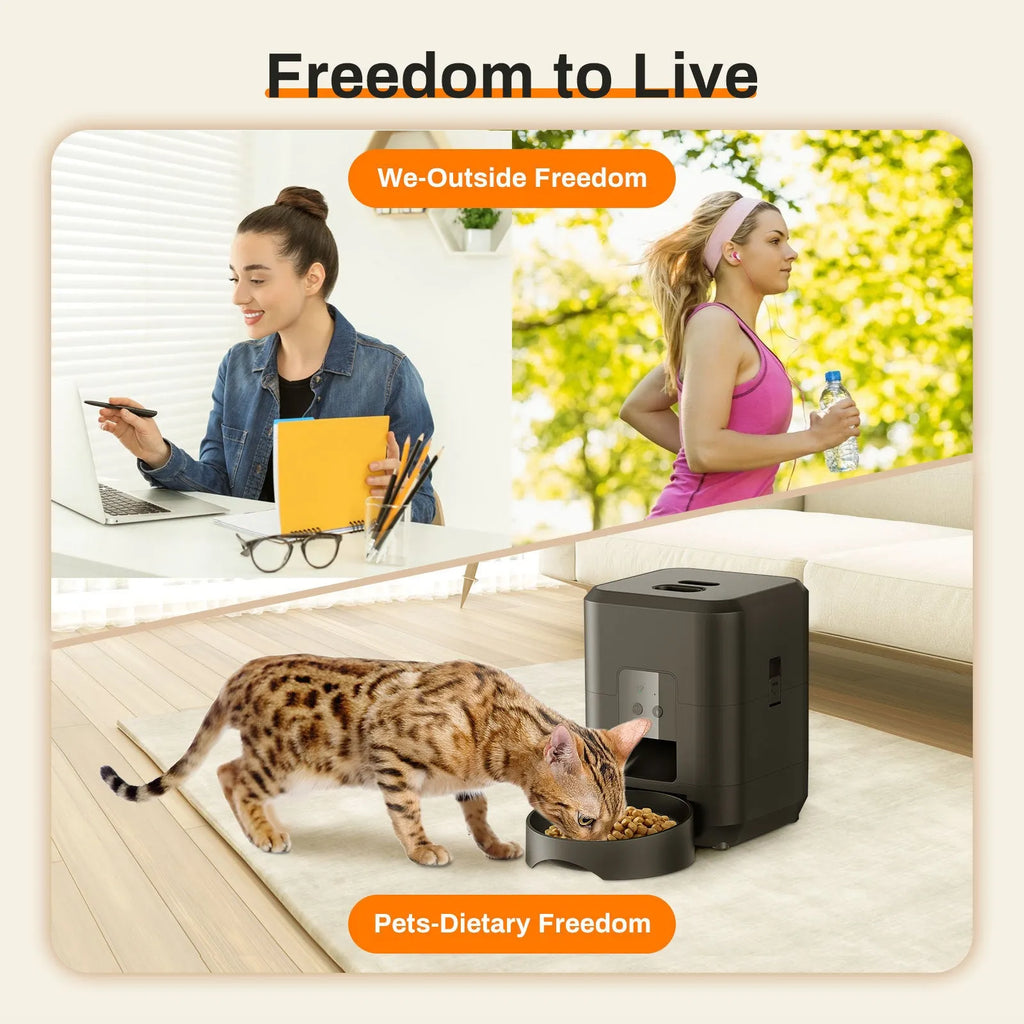 Automatic cat feeder in white or black with programmable timing and remote control options