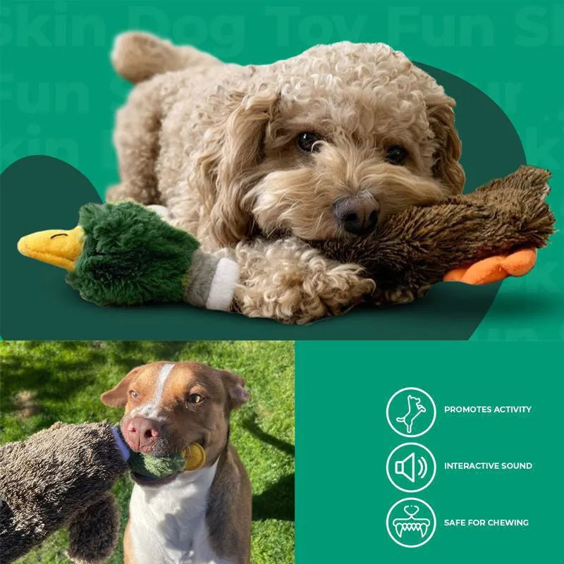 Green stuffless plush dog toy shaped like a wild duck with two squeakers.