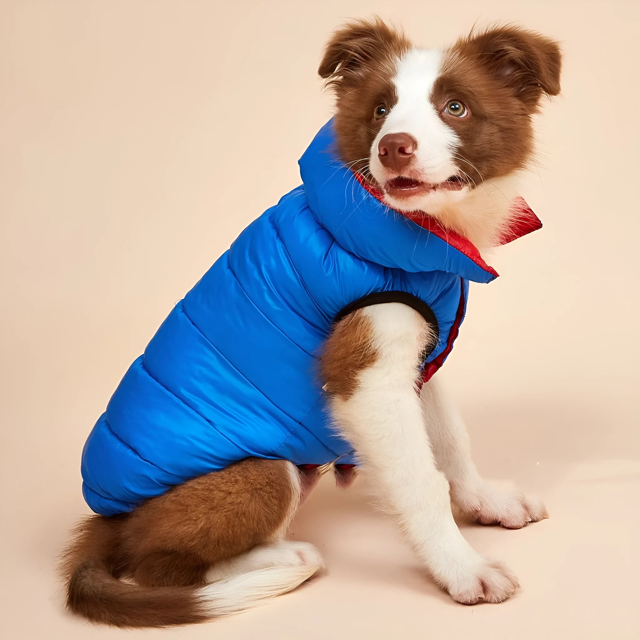 Winter down cotton dog clothes in brown beige with nylon outer shell, casual style, size S to 5XL