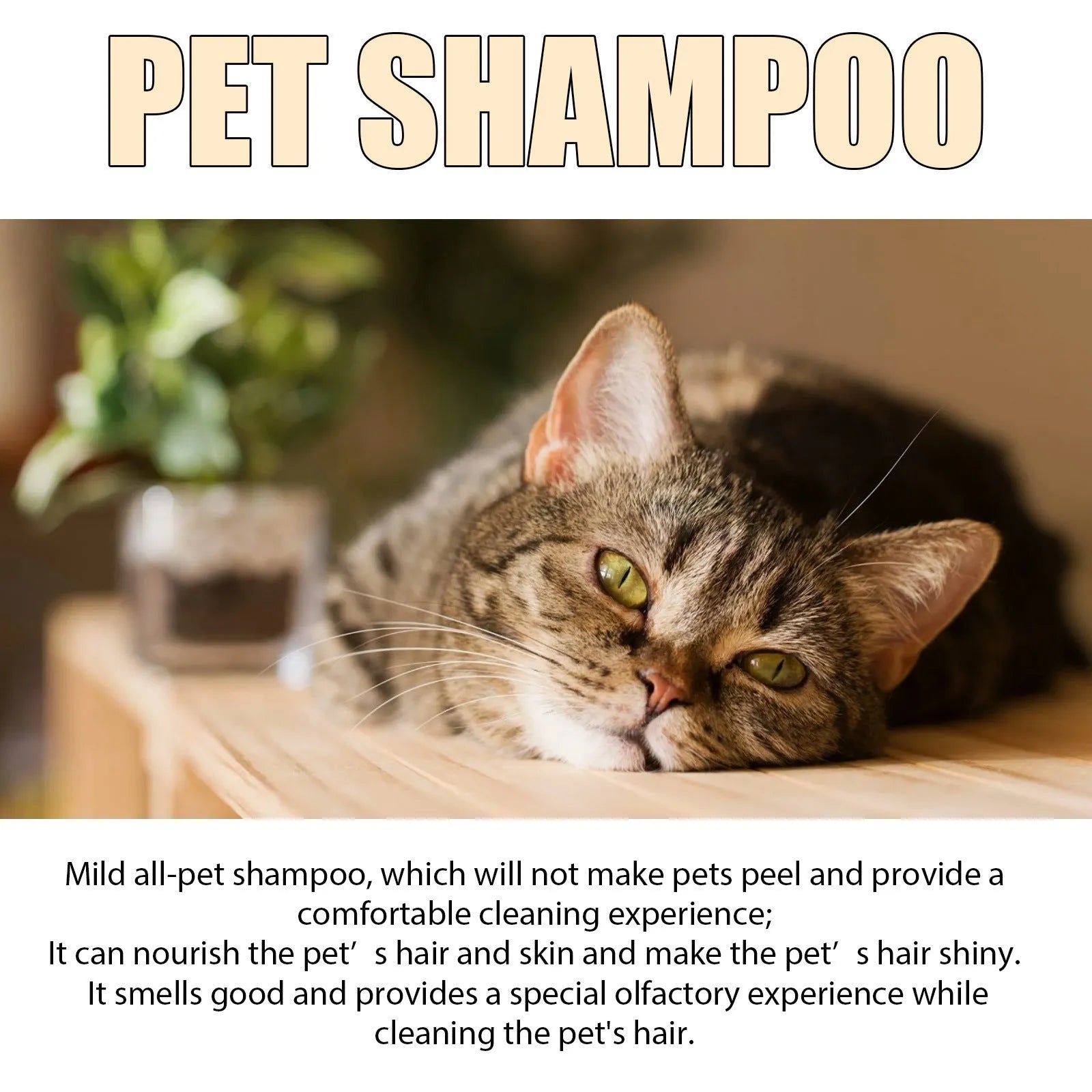 Bottle of mild pet shampoo for dogs in 100ml or 300ml size for gentle cleaning and detangling