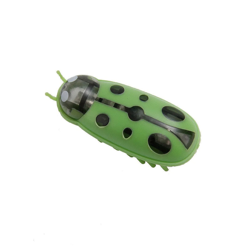 Electric bug cat toy showing ladybird design with motorised movement on flat surface