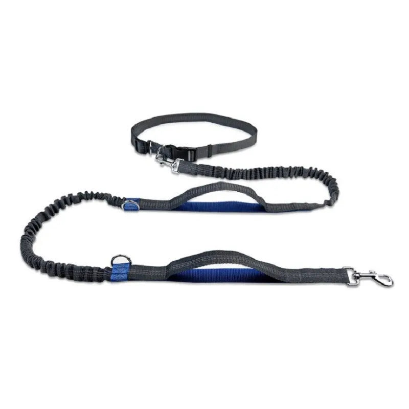 Fluorescent green pet traction rope retractable running belt with foam grip and adjustable waist