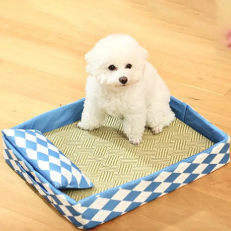 Blue rattan cat litter mat and bed next to a litter tray, shown in a size L.