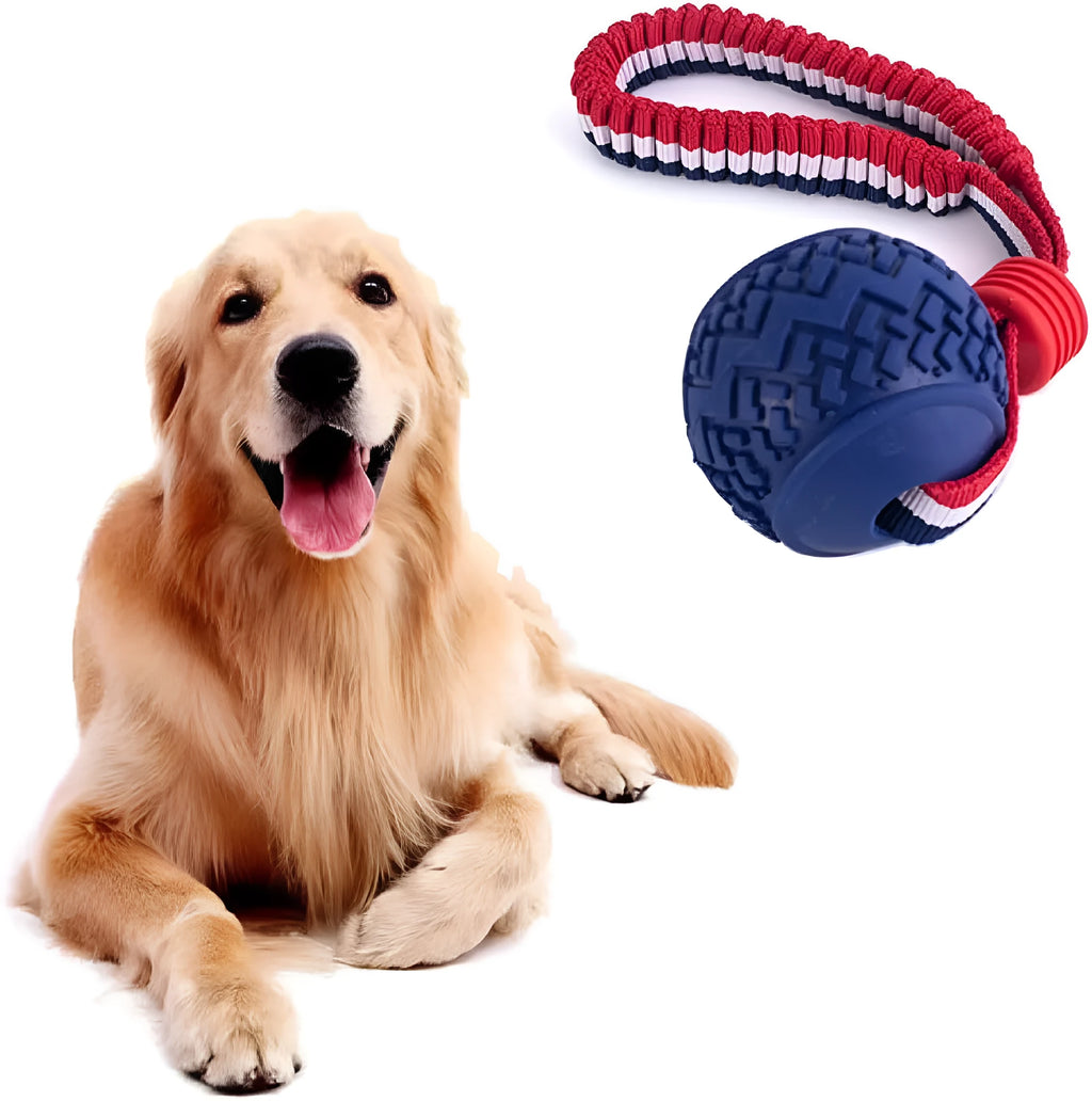 Blue or red natural rubber dog ball on rope toy measuring 29cm total length with 6.5cm diameter ball