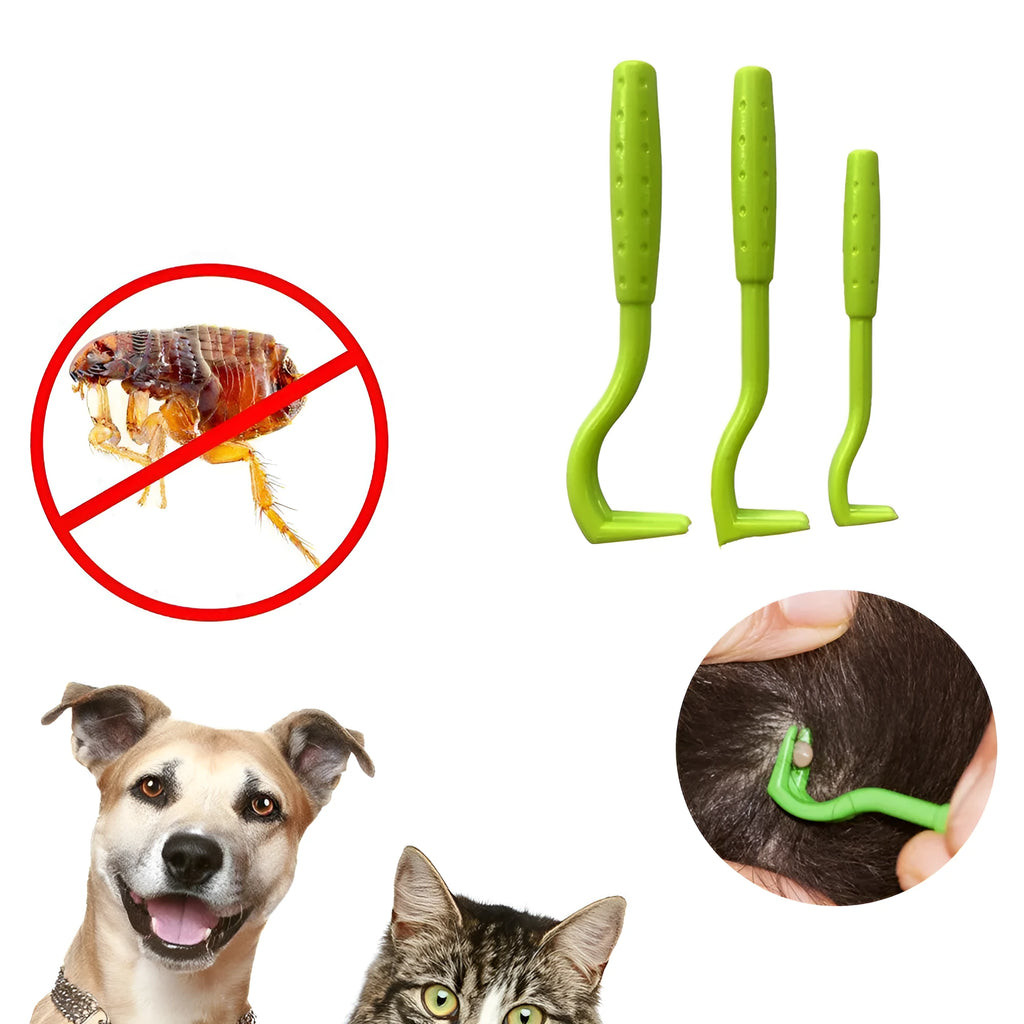 Three blue and green plastic pet tick removal hook tools on a white background.