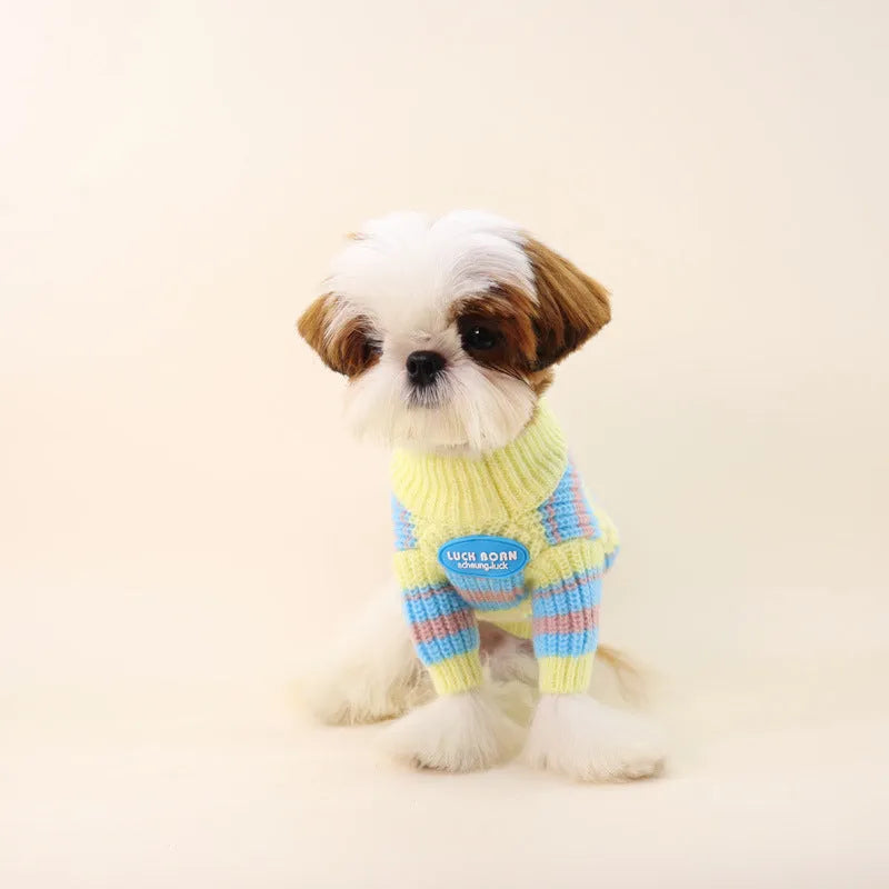 Blue and yellow striped wool sweater for a small dog, shown in size L.