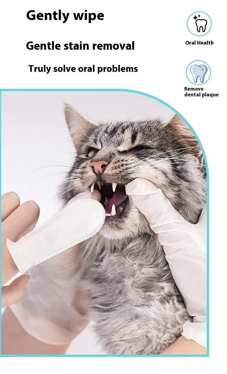 Pack of 50 non-woven pet dental cleaning finger stalls for cat and dog oral hygiene