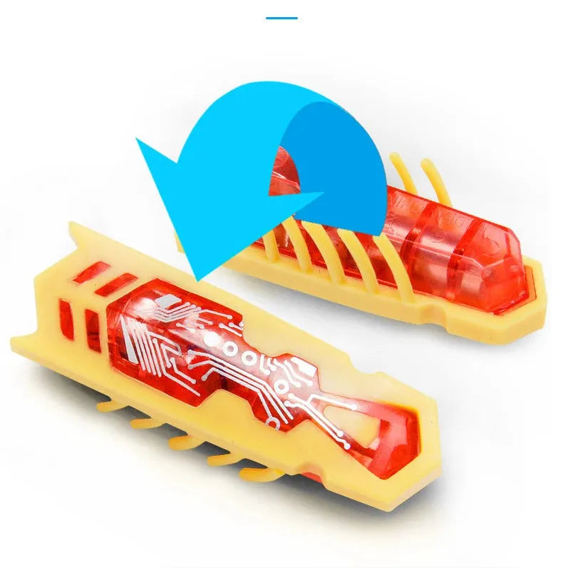 Electric bug cat toy showing ladybird design with motorised movement on flat surface