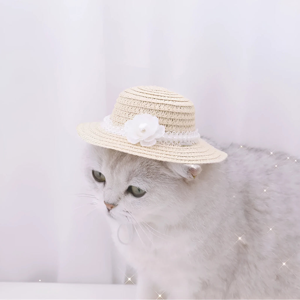Handmade adjustable paper pet hat with a bowknot on a dog, showing cartoon style in multiple colour options.
