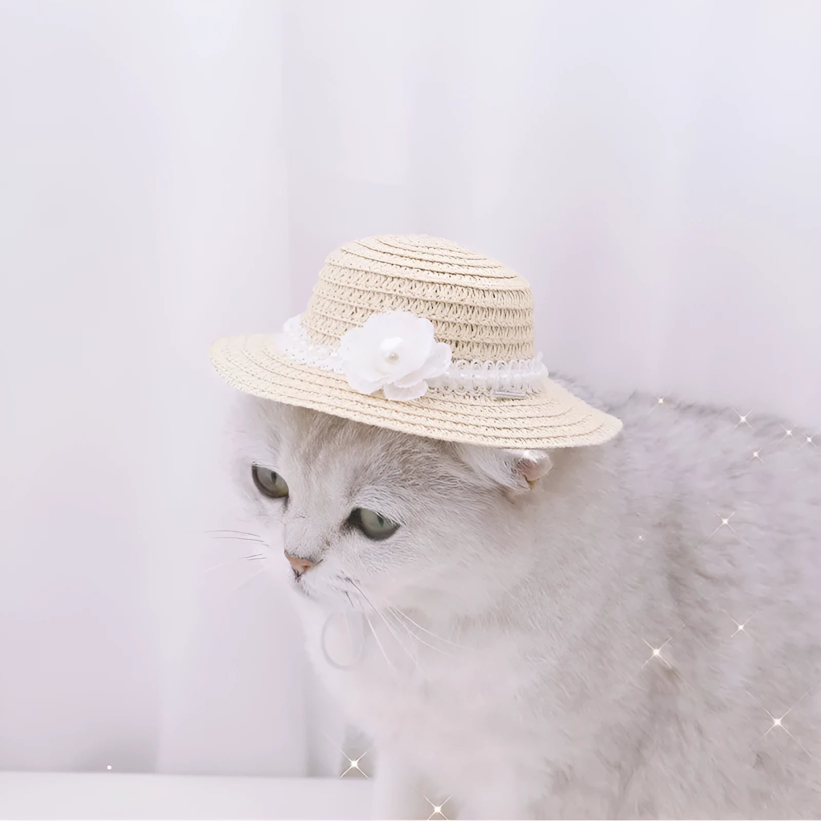 Handmade adjustable paper pet hat with a bowknot on a dog, showing cartoon style in multiple colour options.
