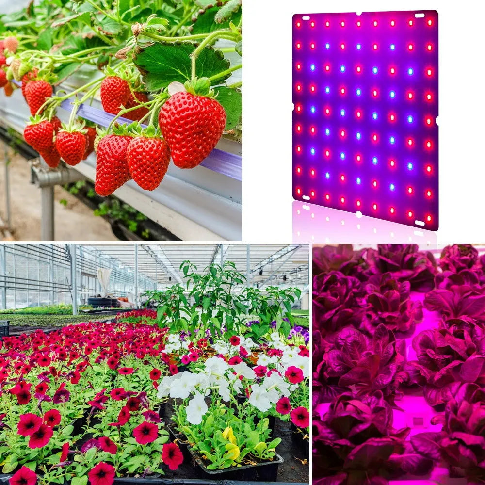 D-section aluminium LED plant light with hook for hanging above indoor vegetable plants