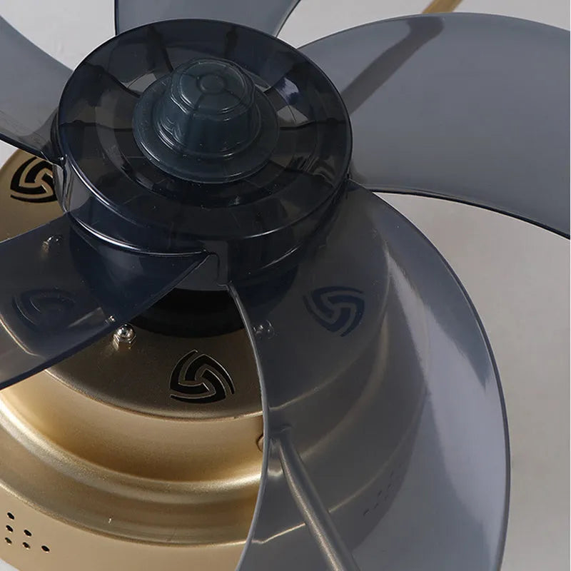 Nordic style ceiling fan lamp with LED lighting and 50cm blades in multiple colour options