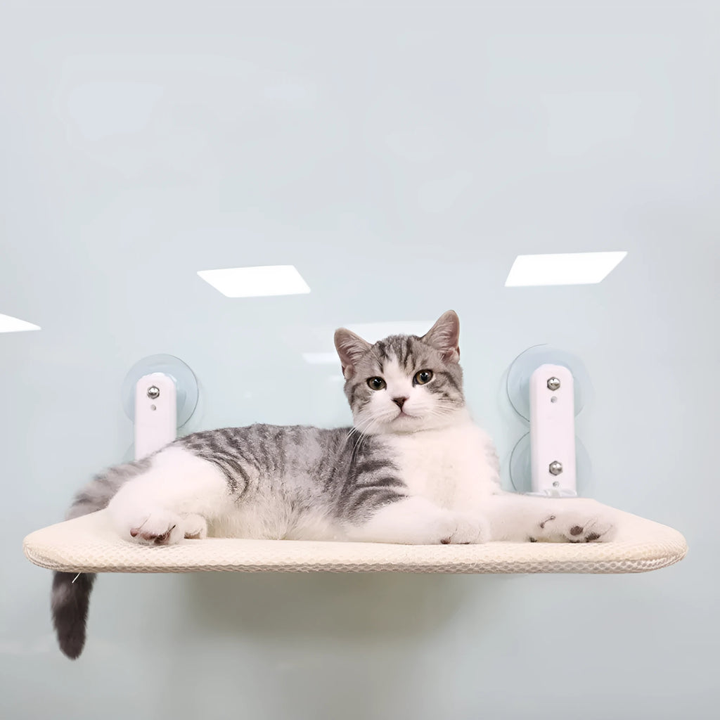 Cat hammock window seat with stainless steel suction cups mounted on glass