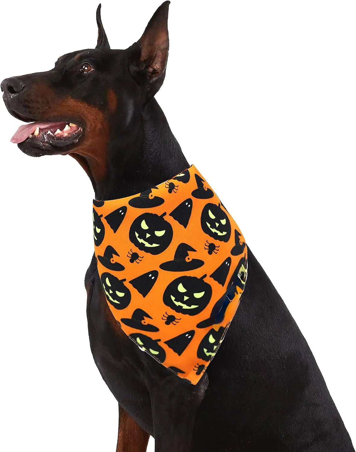 Reversible Halloween dog bandana with pumpkin and spider web designs in black and orange colours