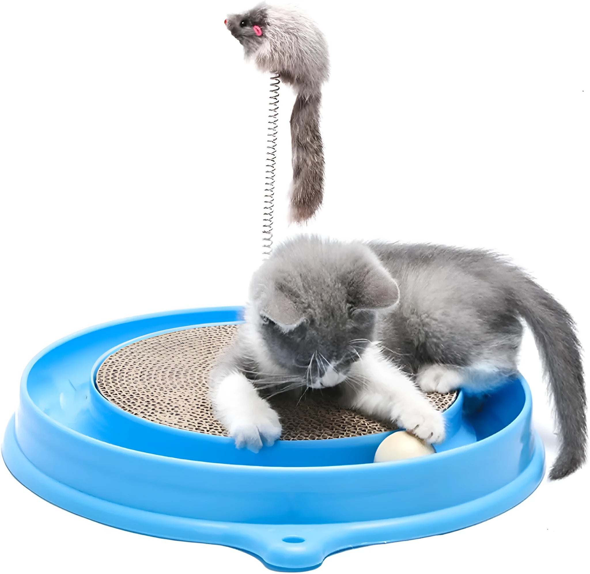 Circular blue cat scratcher with ball track and replaceable cardboard centre