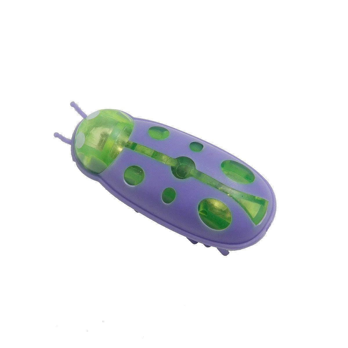 Electric toothbrush worm jumping insect cat teaser toy in plastic construction with ladybug and iron cow colour patterns