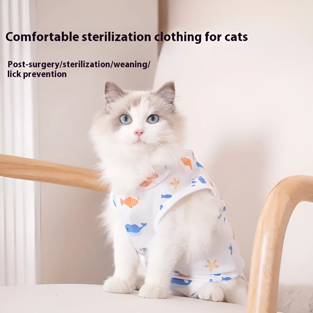 Grey cat wearing a patterned post-operation recovery suit with Velcro fastenings on its back.