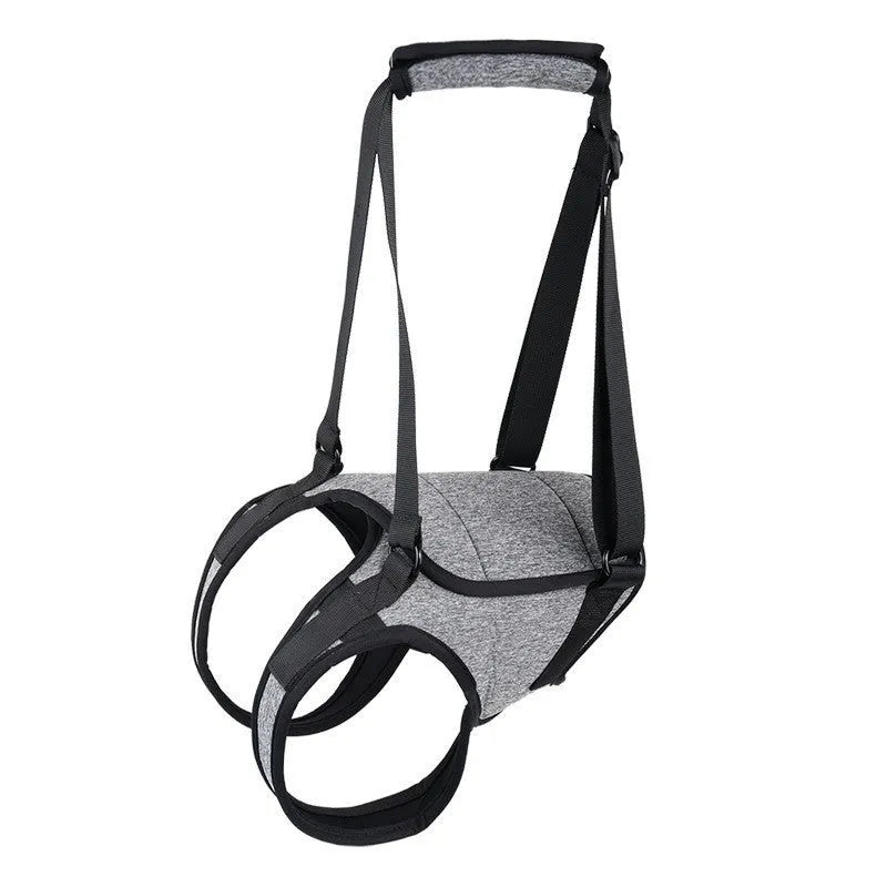 Grey neoprene dog rear leg recovery belt showing adjustable design for injury support