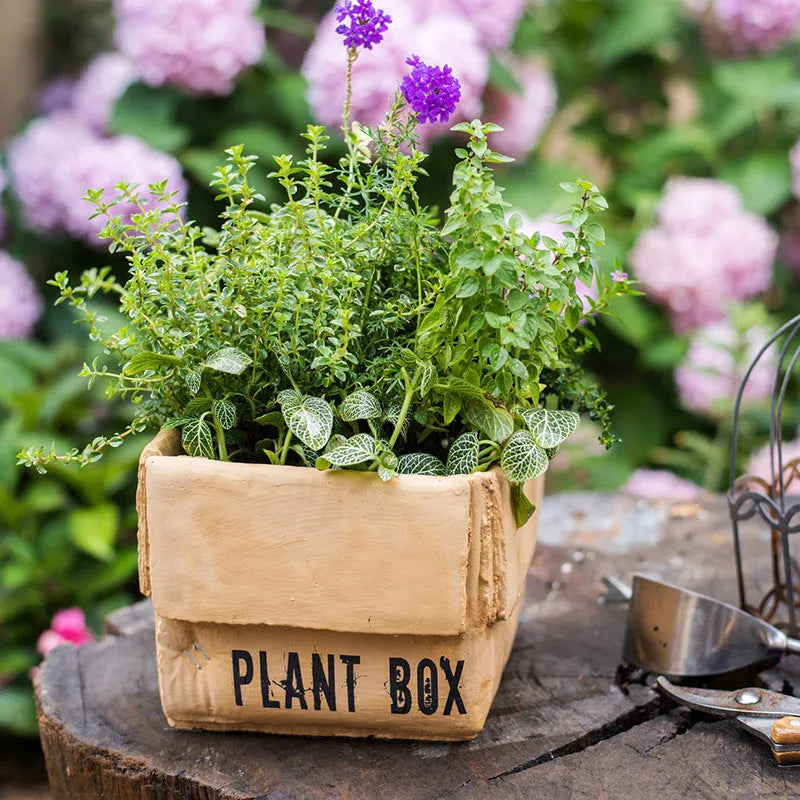 Cement flowerpot with bottom drainage holes and paper box texture in Nordic style design