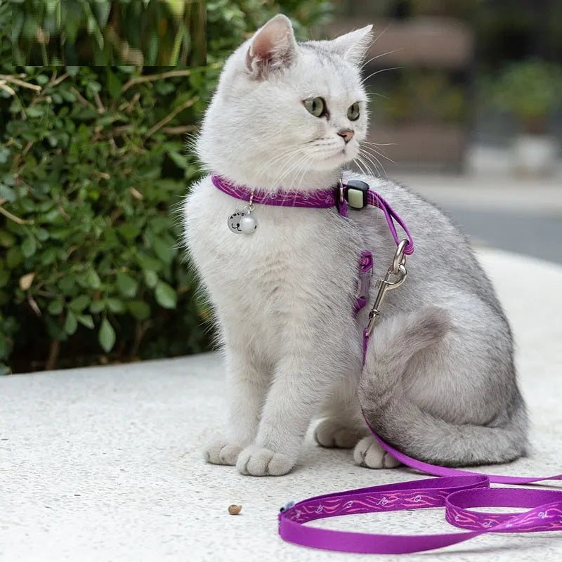 Pet cat bell chest strap and traction rope set in blue polyester jacquard mesh on a small dog
