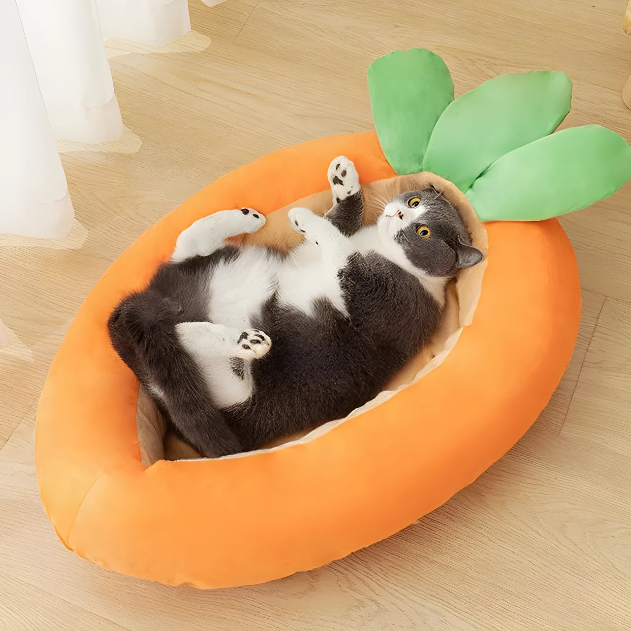 Carrot-coloured cartoon pattern double-sided dog mattress with removable cloth cover.