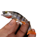 T-tail soft plastic fishing lure in fish colour pattern for sea fishing and catfish
