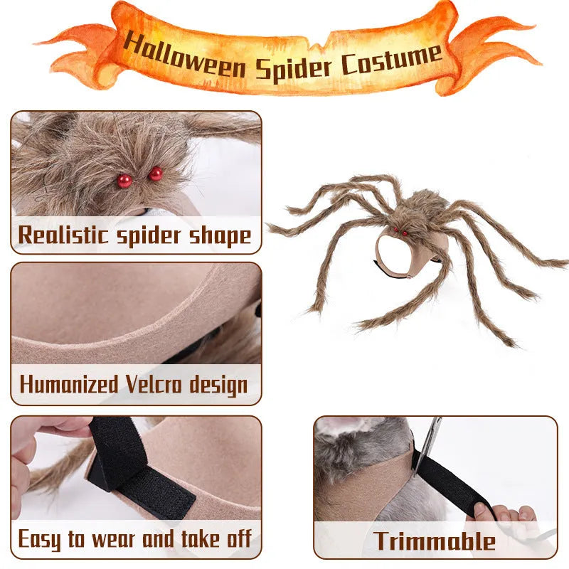 Halloween spider pet costume for dogs and cats in multiple sizes and colours