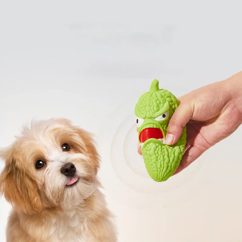 Bitter melon or chili shaped dog toy with sound feature for biting resistance and tooth cleaning
