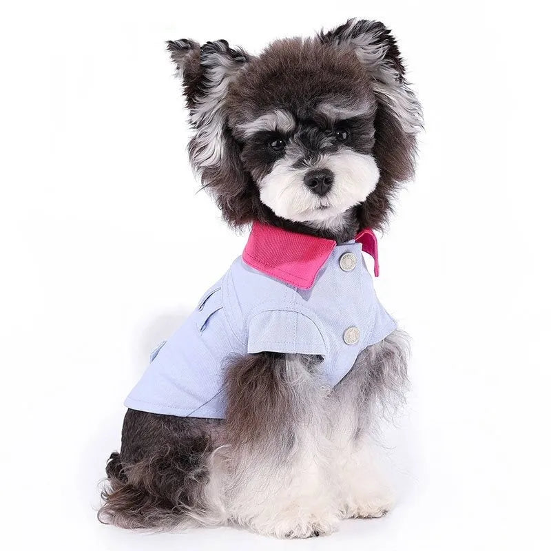 Blue and purple polyester dog vest with chest ring for traction rope attachment in seven sizes for small dogs