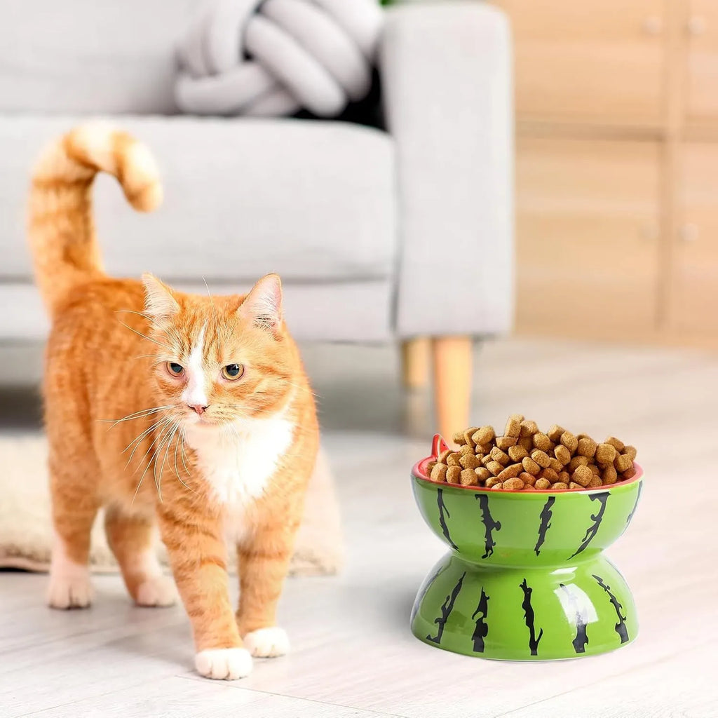 Orange patterned ceramic raised cat bowl with wide tilted dish on non-slip base.