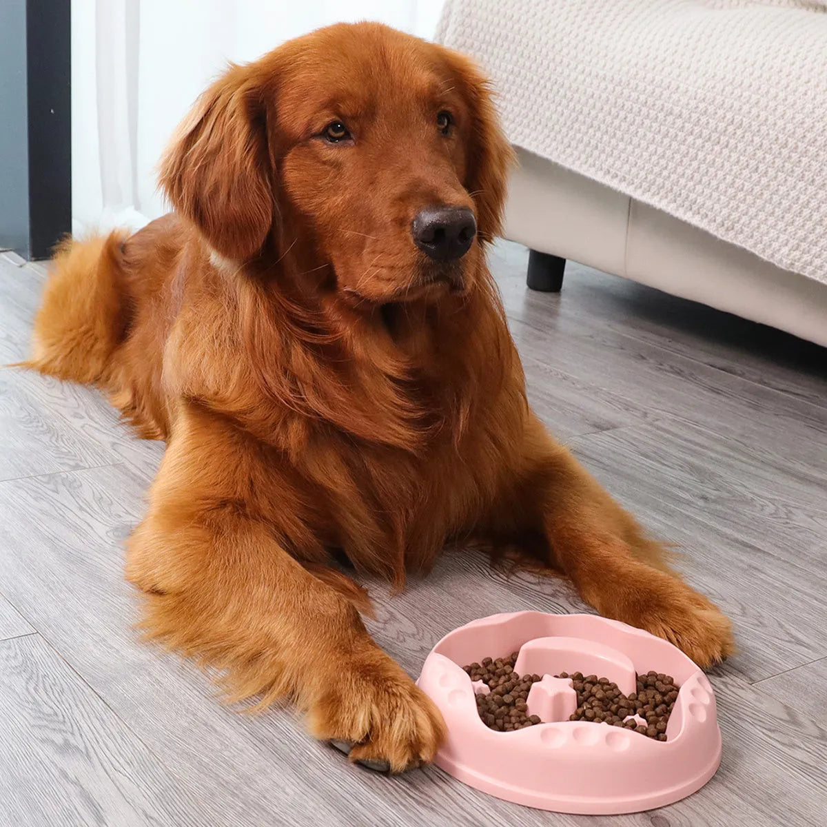 Moon and star design slow feed dog bowl in blue colour with non-slip silicone base
