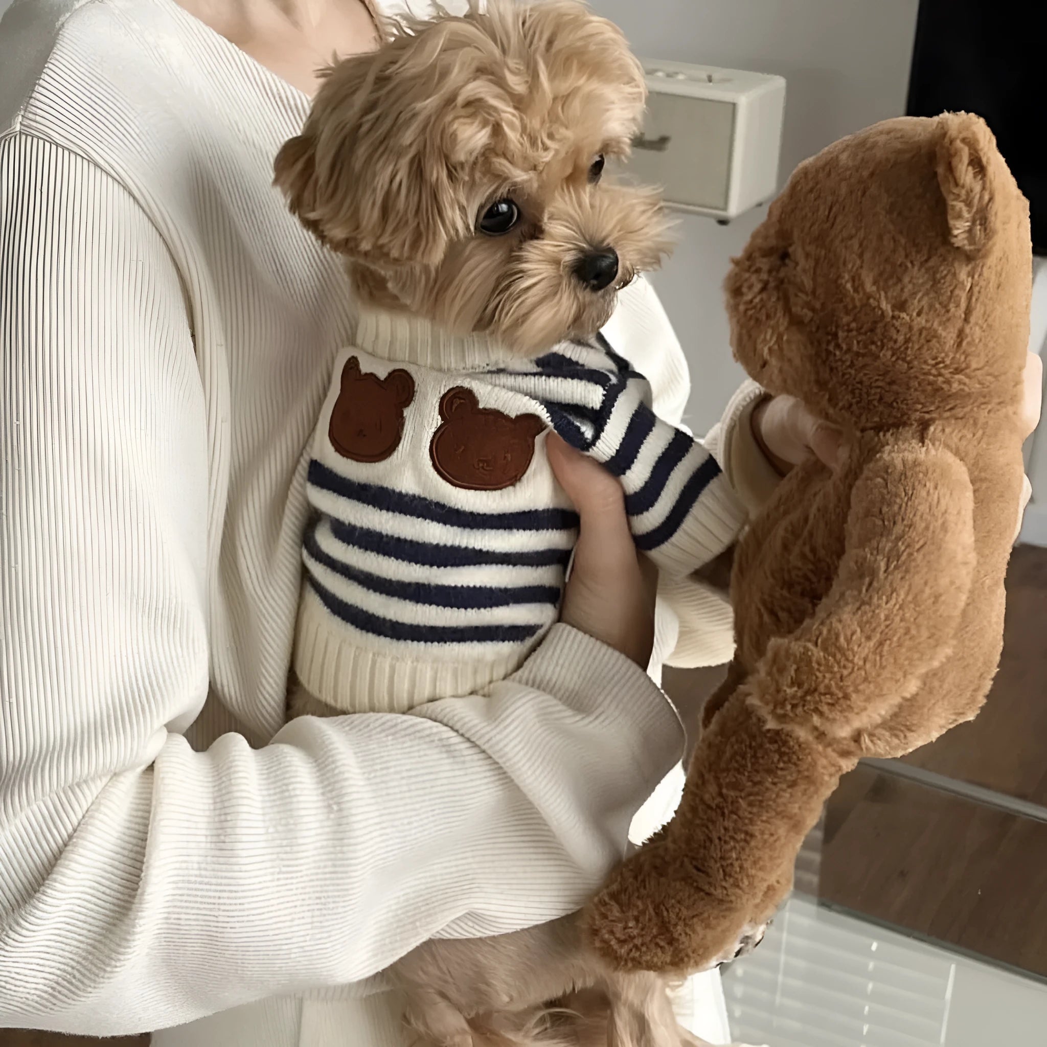 Korean style pet knitted sweater in navy blue stripes, warm wool fabric for dogs, autumn winter wear