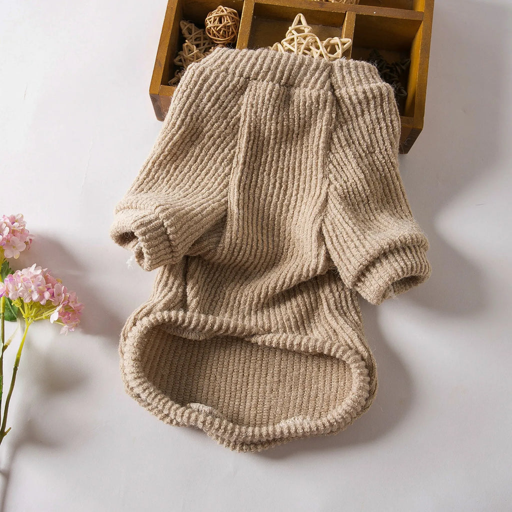 Brown knit pullover sweater on small dog showing casual style and fit