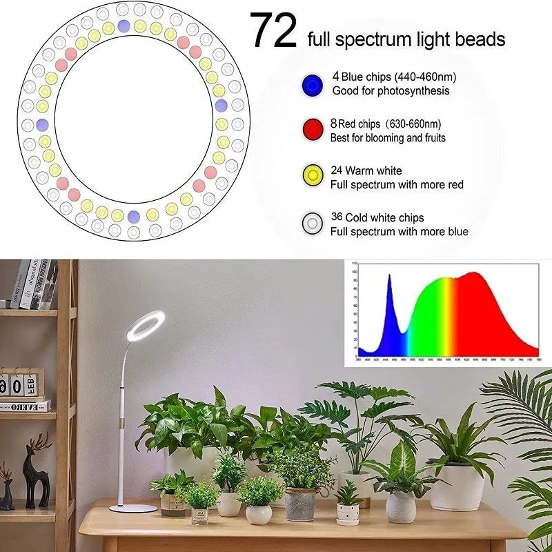 White 6-inch angel ring LED plant grow light on a tall, slender adjustable floor stand.