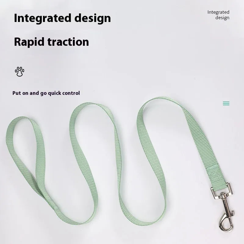 Solid colour nylon dog walking leash in blue held in a hand, showing the single rope design and hand loop.