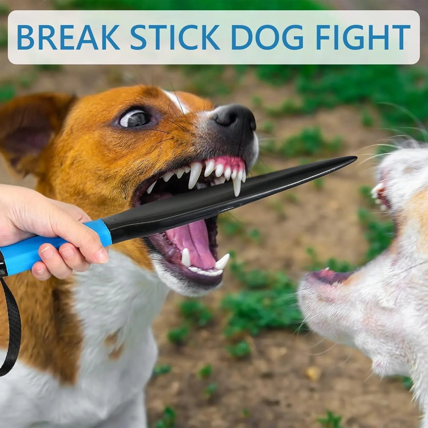 A blue and black nylon dog training break stick measuring 35cm in length.