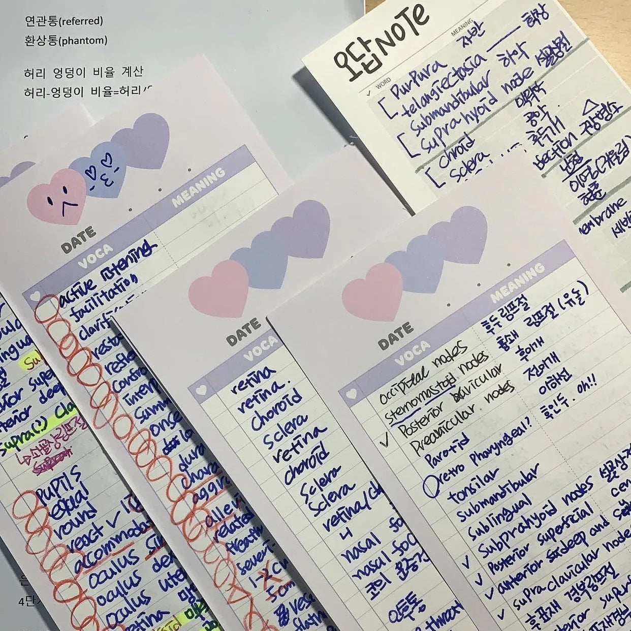 Vertical format B5 half-size notepad with English word printing in pink, purple, or blue cover options