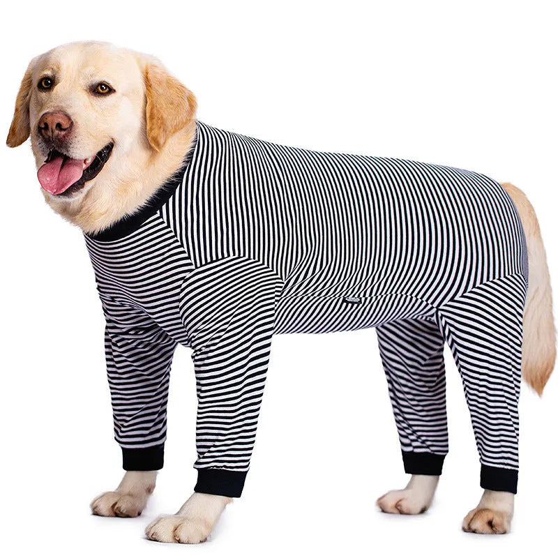 Sky blue striped polyester dog shirt on a thin Golden Retriever, showing four-legged fit.