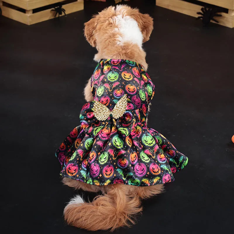 Dog wearing angel wings Halloween costume in bright pumpkin orange colour