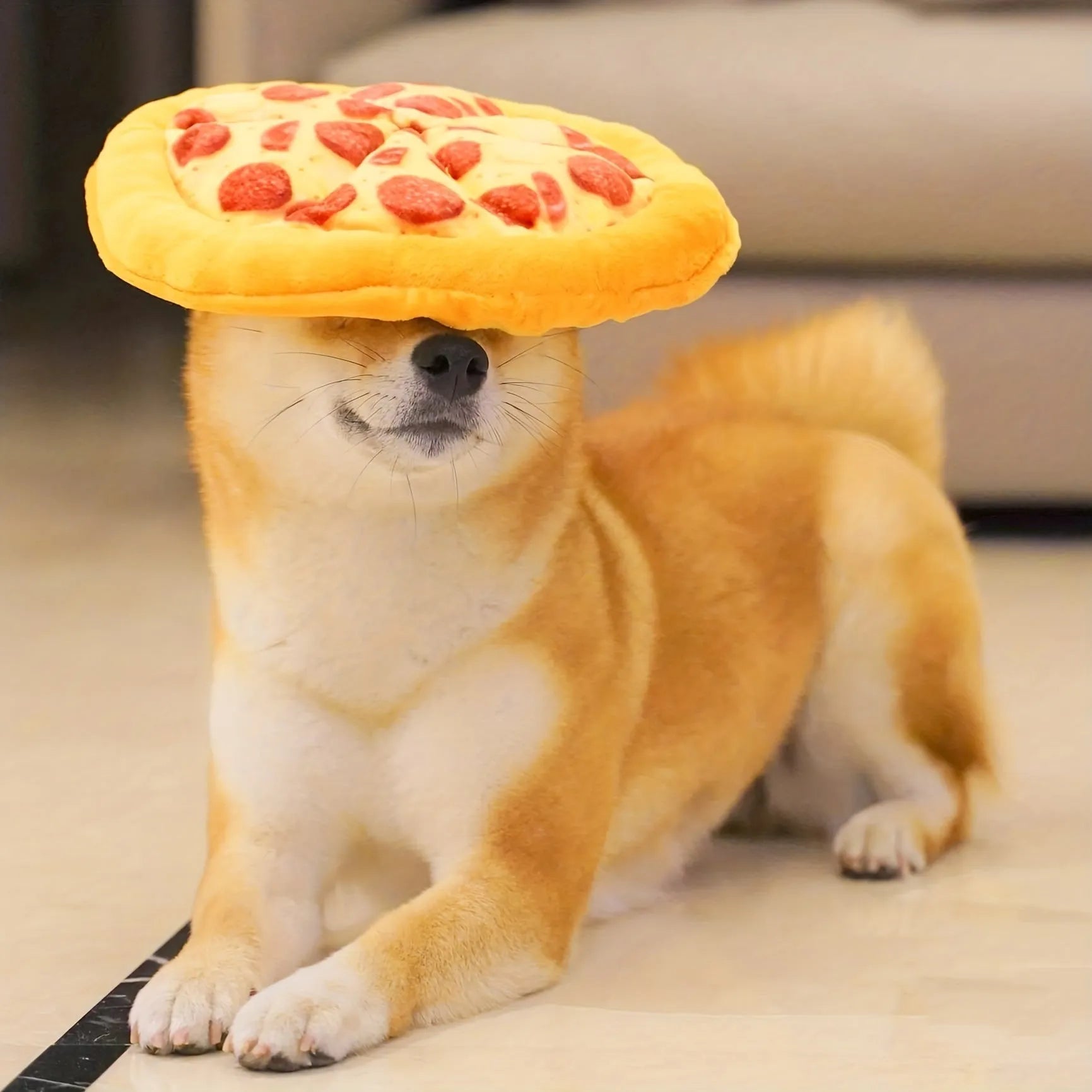 Yellow teddy bear dog toy holding pizza slice squeaky chew toy