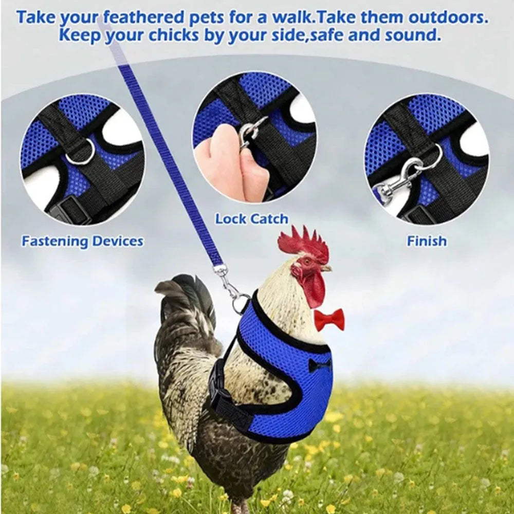 Colourful chicken vest harness and collar set for ducks and hens with a traction rope.
