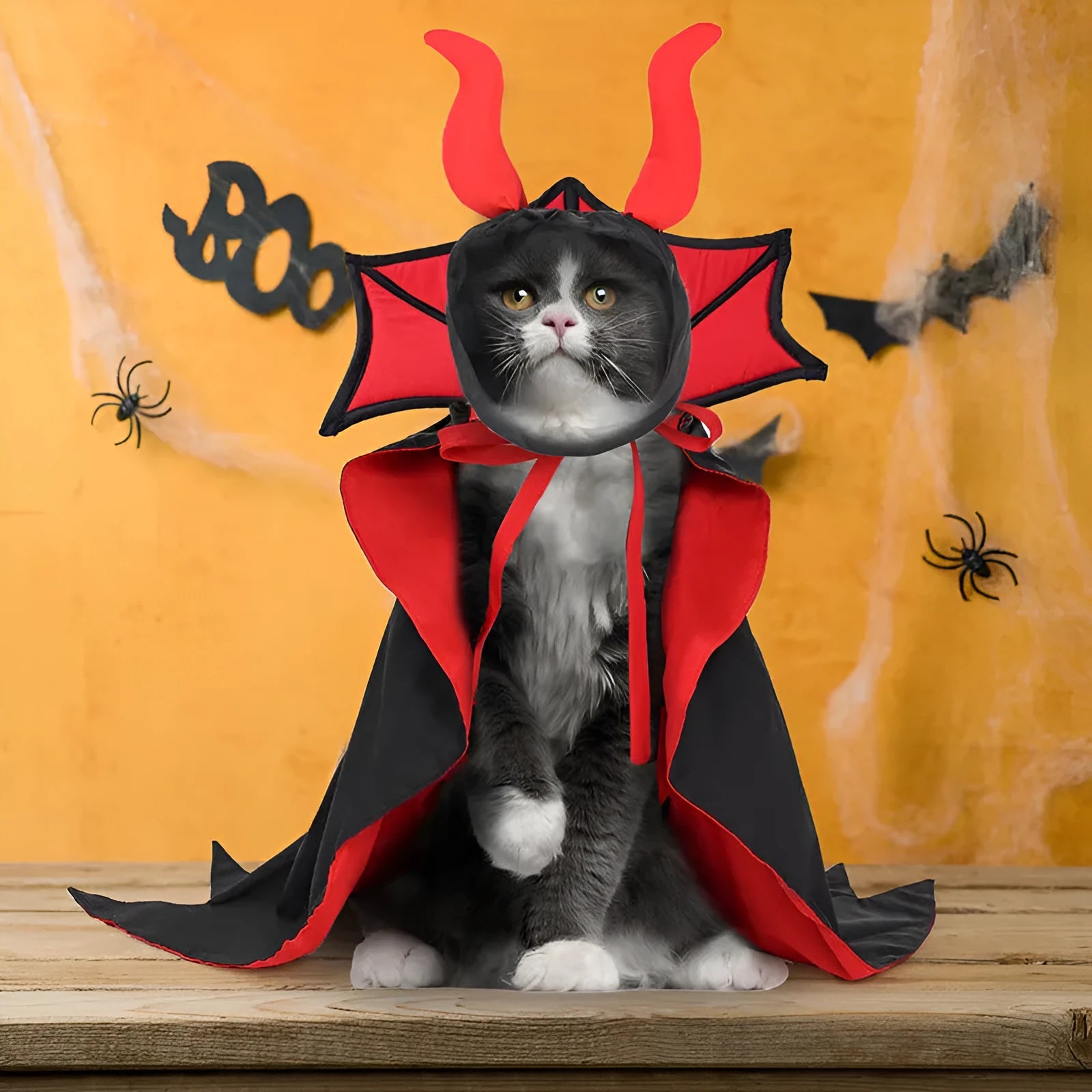 Black polyester Halloween vampire costume for pets with cloak and hat