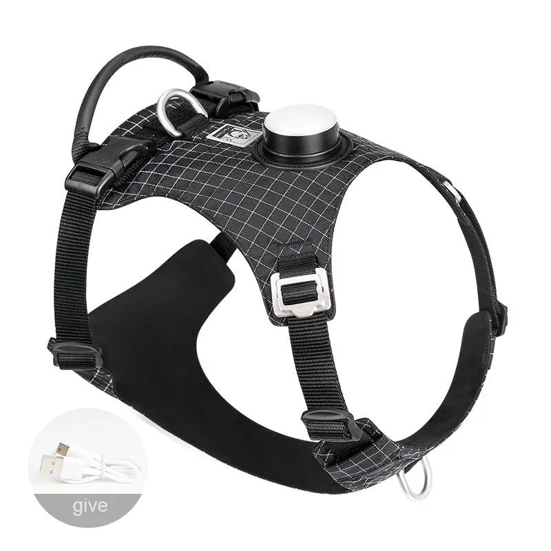 A light purple adjustable nylon dog harness with an LED light on the chest strap.