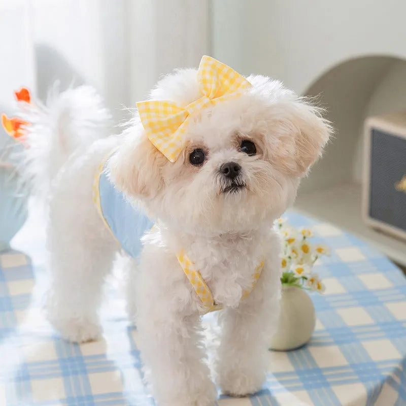 Small dog wearing heart pattern bow suspenders vest with matching hairband in Bondi Blue colour