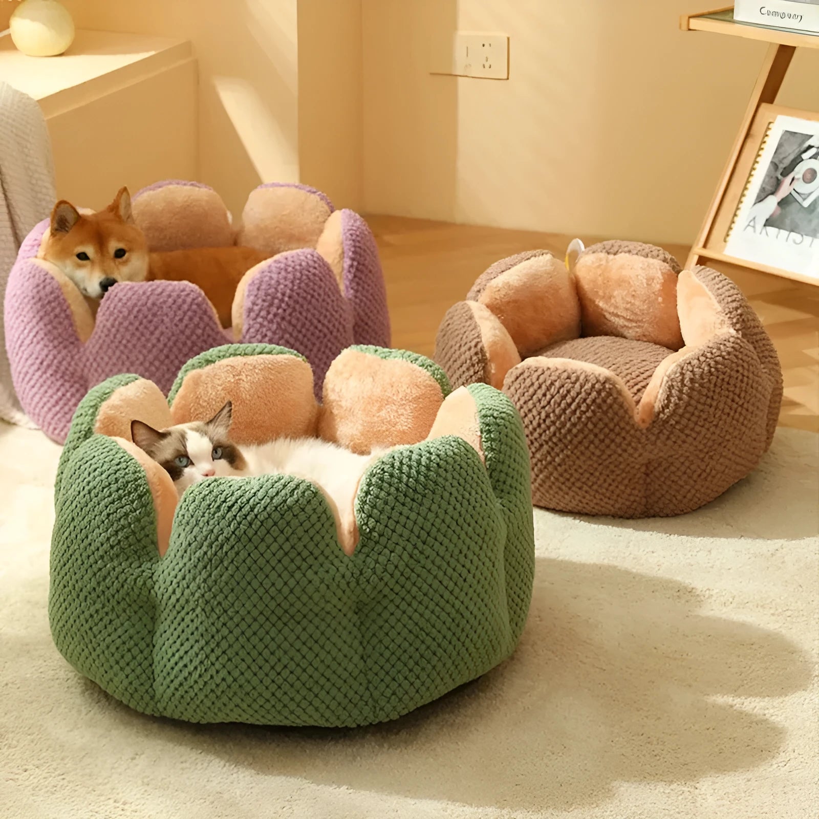 Green enclosed pet bed with cactus petal shaped opening and soft plush fabric