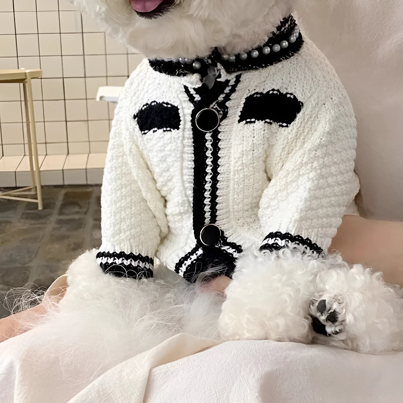 Korean-style dog sweater with pearl collar in black and white colours showing princess cut