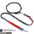 Gray and green reflective elastic dog leash with nylon webbing and a clip, laid flat to show its 2.5cm width.