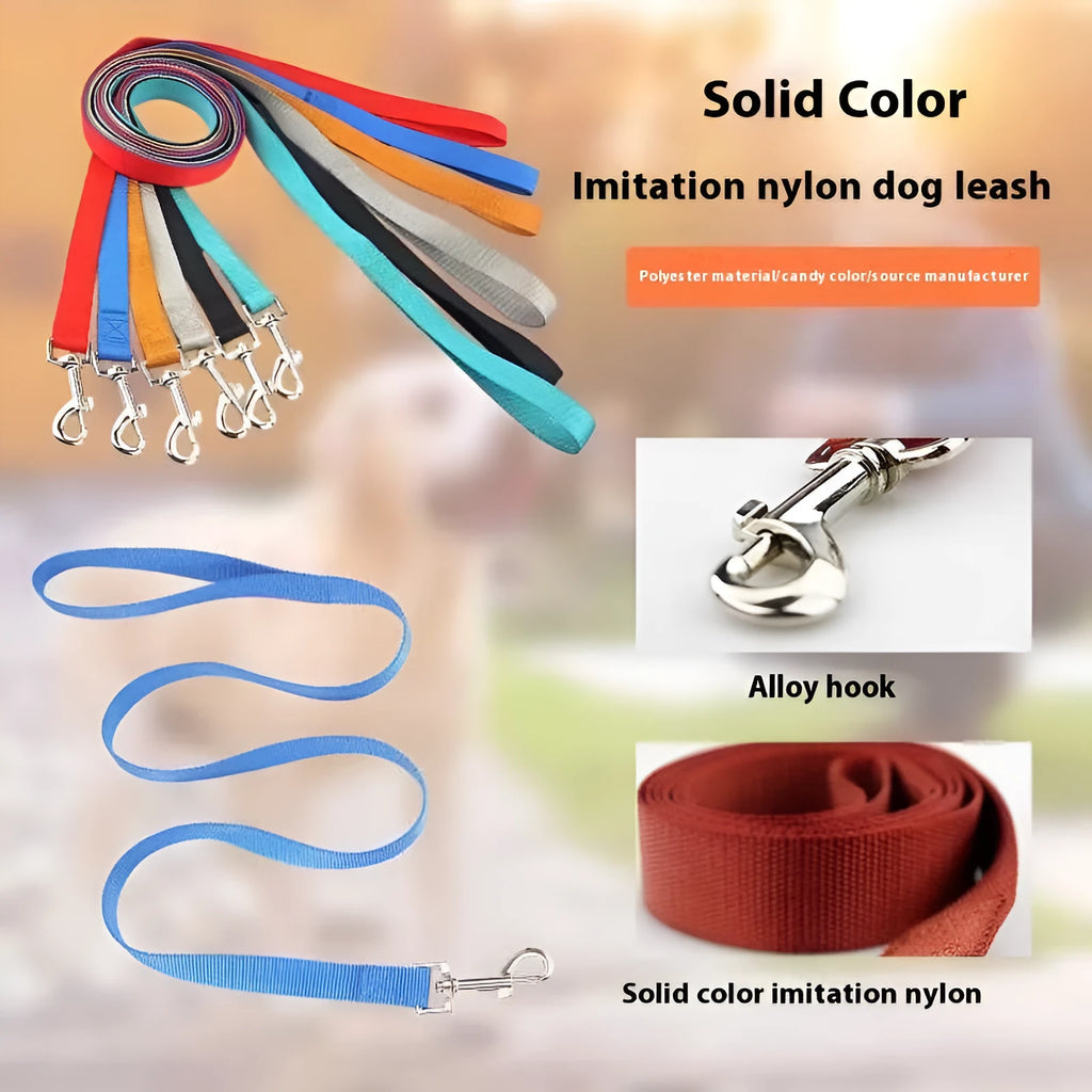 Solid colour nylon dog walking leash in blue held in a hand, showing the single rope design and hand loop.